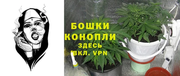 дмт Аркадак